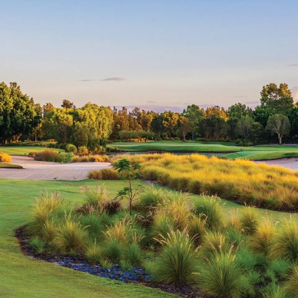 Native grasses and bunkers at Lakelands on the Gold Coast